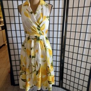Shelby& Palmer dress